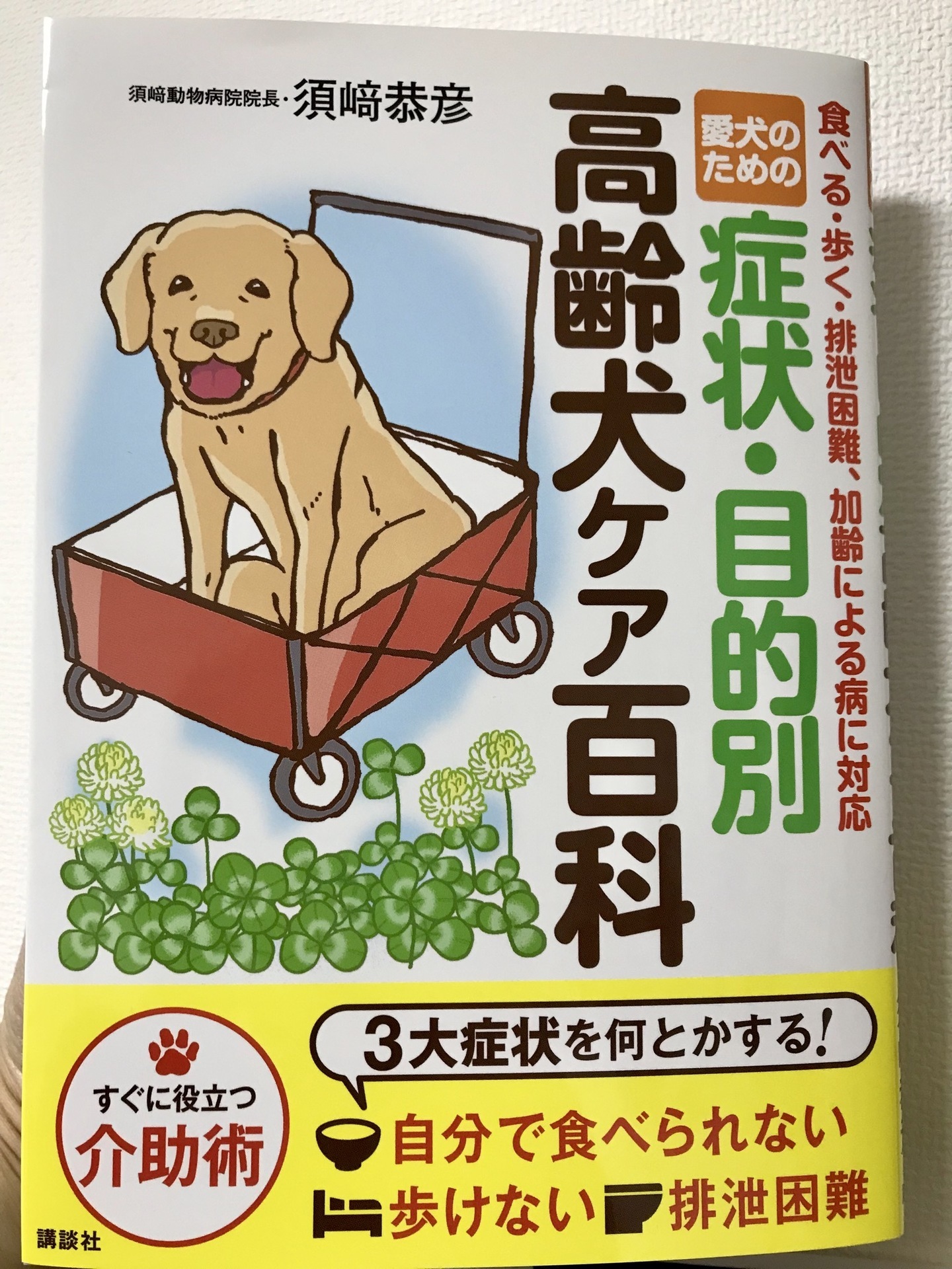 嬉しい嬉しいご報告 老犬シェパードの笑える介護生活